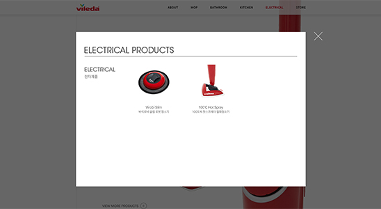electronic Image