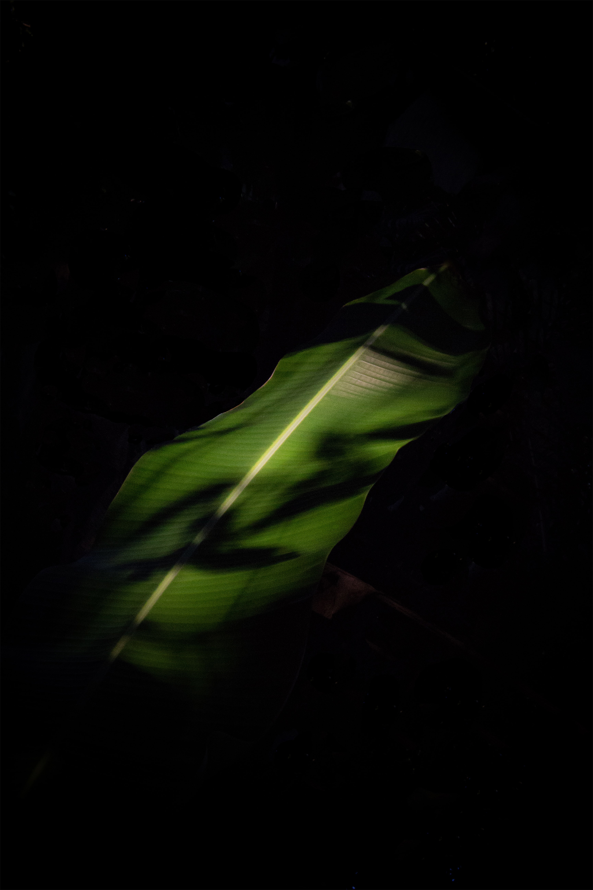 manyo_parallax3